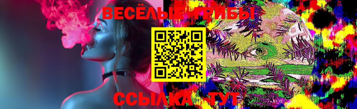 Кострома  Галлюциногенные грибы Magic Shrooms  Вход с VPN 